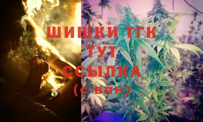 Марихуана THC 21%  где найти наркотики  Лыткарино 